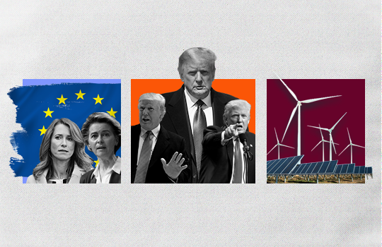 2025 Red Herrings Graphic